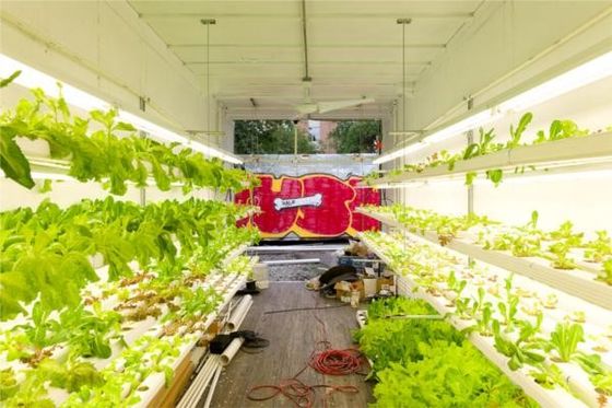 Hydroponische Landwirtschaft Vorgefertigte Containerhäuser Leichtstahlrahmen Modularhaus